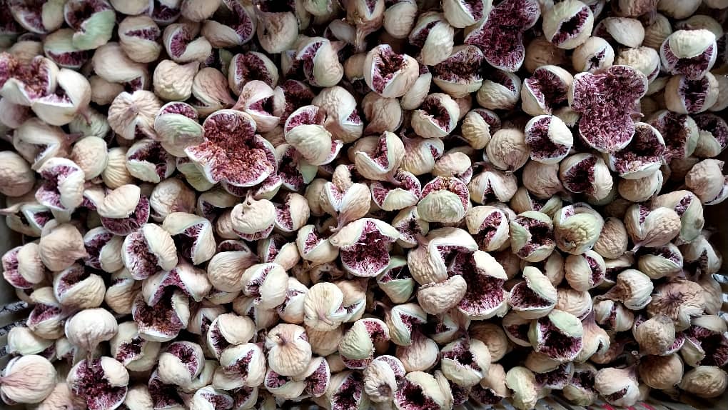 تصویر 5 از مرکز خرید و فروش انجیر خشک پرک + قیمت باور نکردنی