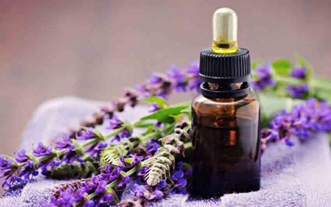 تصویر 1 از فروش ویژه عصاره خوراکی گل گاو زبان مایع گرید A