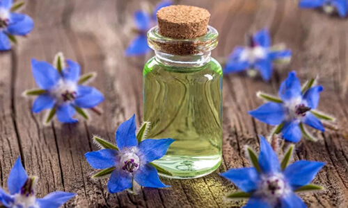 تصویر 2 از فروش ویژه عصاره خوراکی گل گاو زبان مایع گرید A