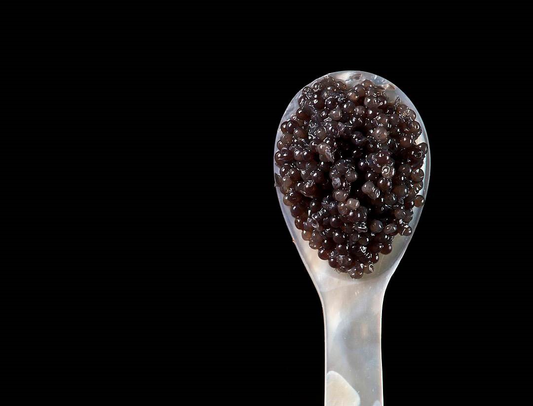 تصویر 1 از خاویار پرورشی اصل + قیمت به صرفه
