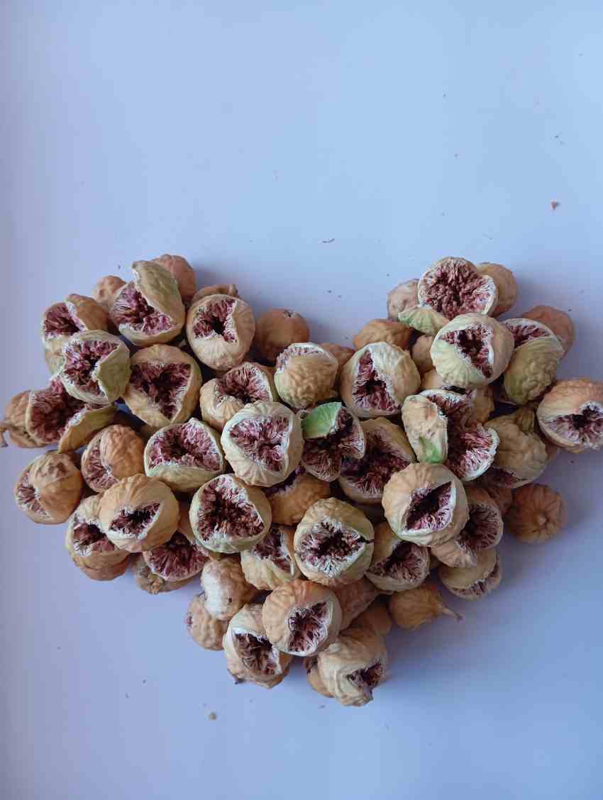 تصویر 1 از قیمت و خرید انجیر خشک استهبان به کشورهای اروپایی