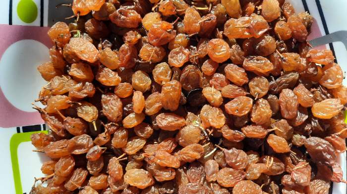 تصویر 5 از قیمت خرید کشمش تیزابی + فروش ویژه