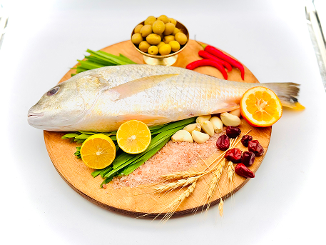 خرید و قیمت ماهی سنگ سر طلایی کیلویی + فروش صادراتی