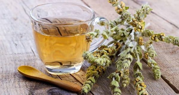 تصویر 2 از قیمت و خرید چای کوهی + فروش ارزان