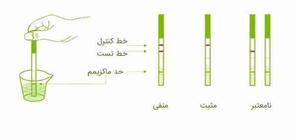 تصویر 3 از قیمت خرید کیت آزمایشگاهی سریع رپید با فروش عمده