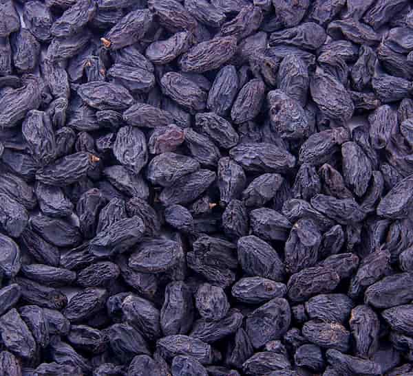 تصویر 3 از قیمت کشمش مویز درشت + پخش تولیدی عمده کارخانه