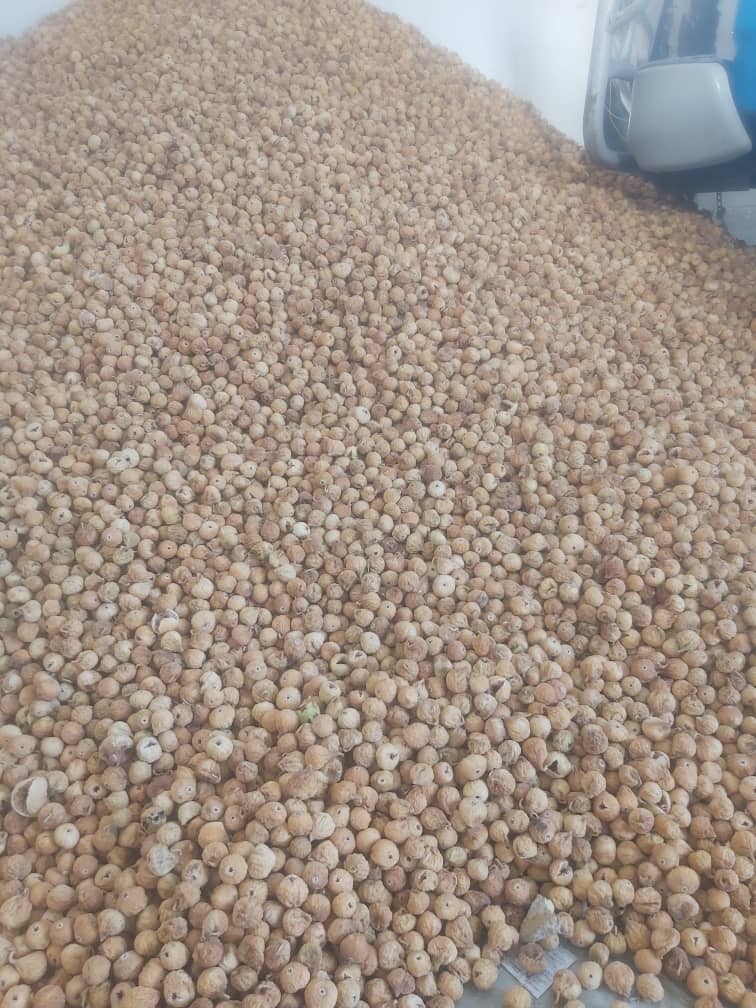 تصویر 1 از مرکز خرید و فروش انجیر خشک استهبان + فروش عمده
