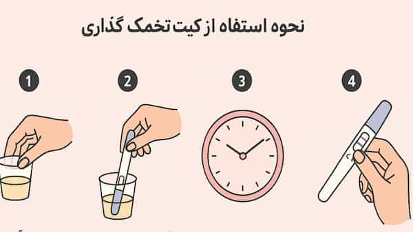 تصویر 5 از قیمت و خرید تست تخمک گذاری + فروش ارزان