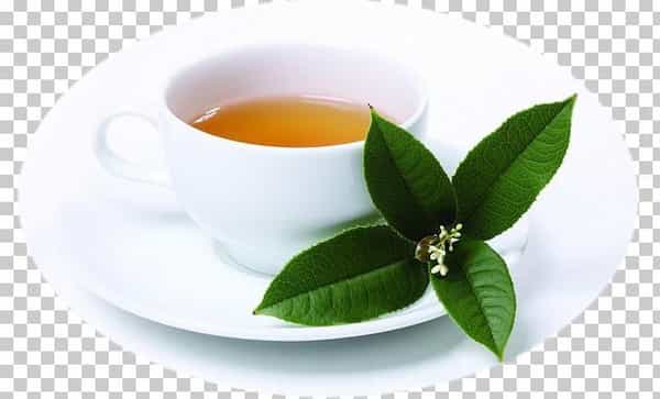 تصویر 5 از قیمت خرید چای هل با فروش عمده