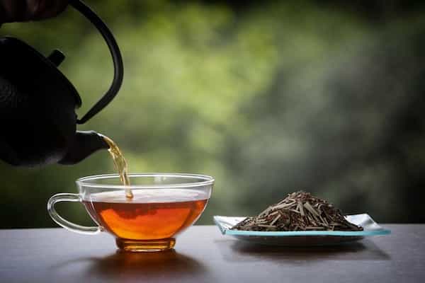 تصویر 5 از راهنمای خرید چای ایرانی + قیمت عالی