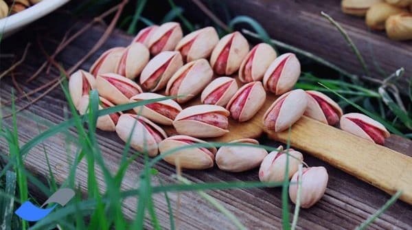 تصویر 3 از فروش پسته ممتاز + قیمت عالی با کیفیت