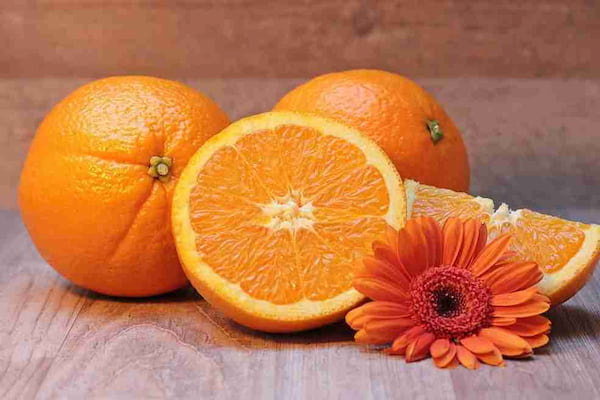 تصویر 1 از قیمت خرید پرتقال پیوندی دزفول با فروش عمده