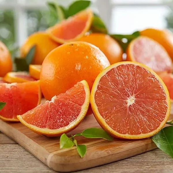 تصویر 5 از معرفی پرتقال پیوندی خونی + بهترین قیمت خرید