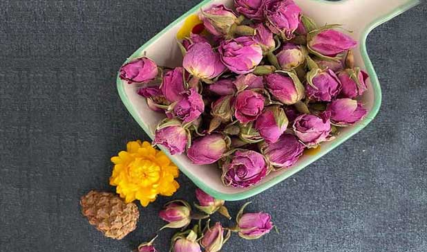 خرید عمده غنچه لاله زار کرمان به همراه قیمت با شرکت فولاد گل