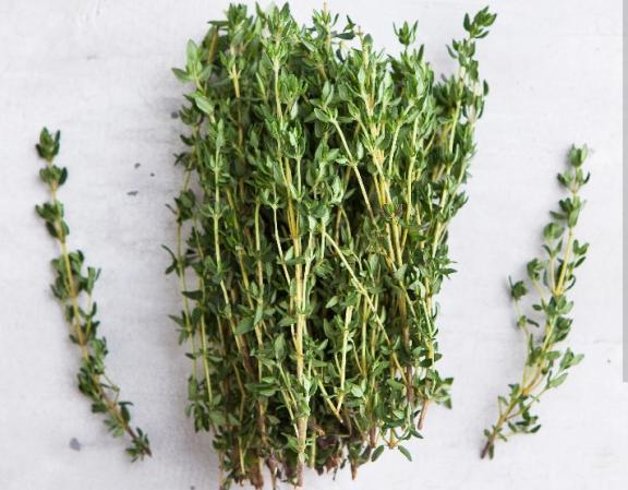 تصویر 3 از فروش عمده آویشن برگ باریک با کیفیت صادراتی