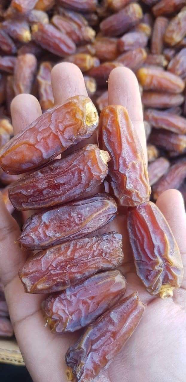 تصویر 1 از خرید انواع خرما مجول