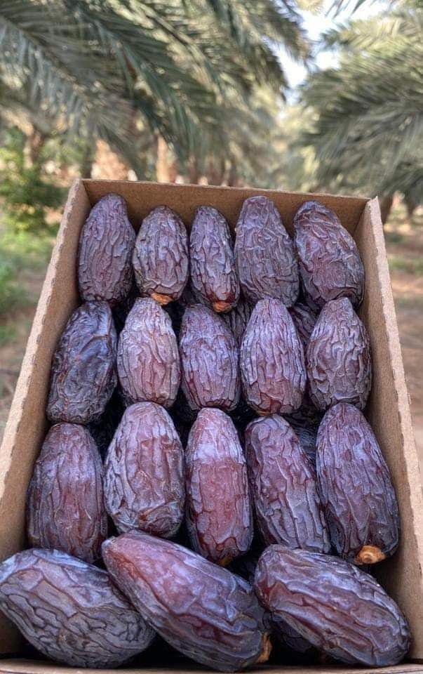 تصویر 4 از خرید انواع خرما مجول