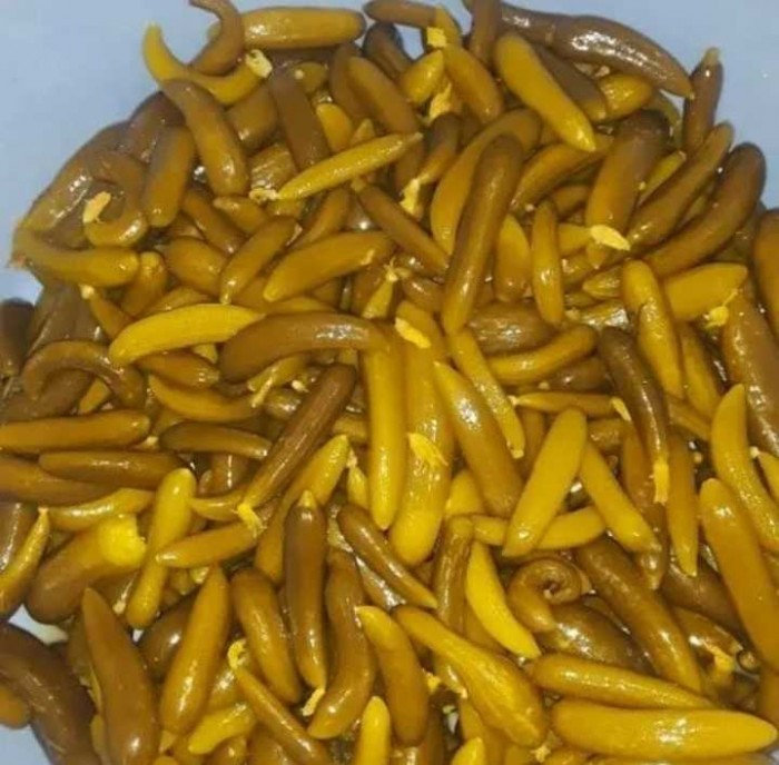 تصویر 5 از خیارشور نول دبه ای + قیمت درب کارخانه