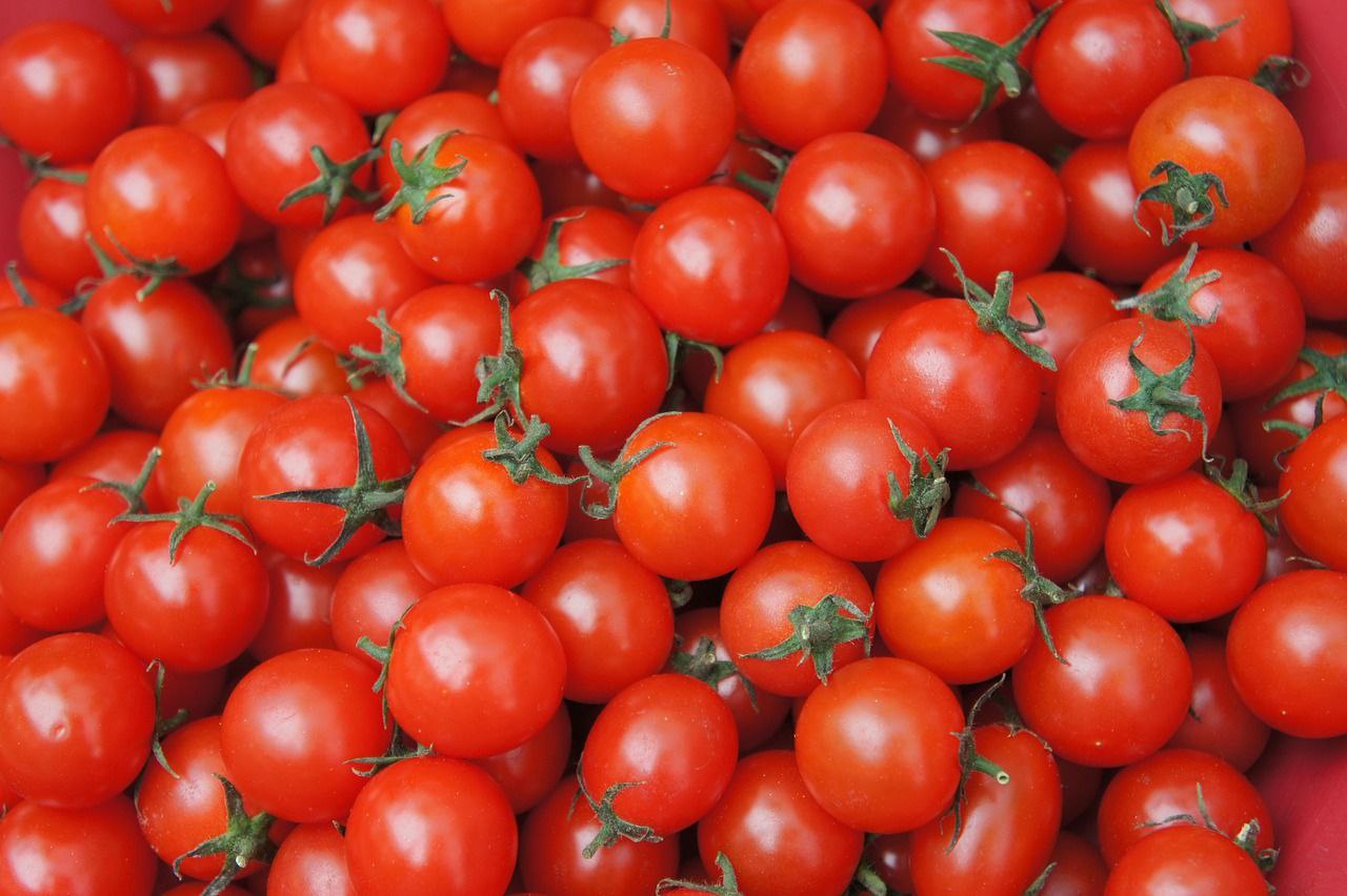 تصویر 3 از رب گوجه دست‌ پخت + خرید