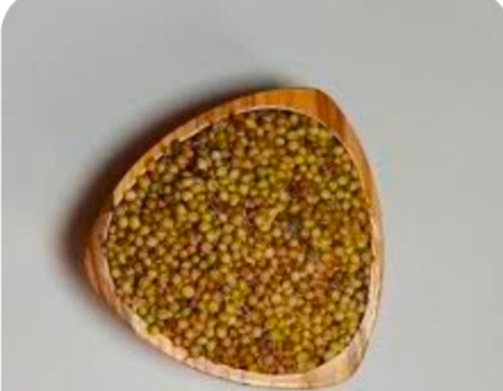 تصویر 1 از خرید بذر گشنیز + قیمت عالی