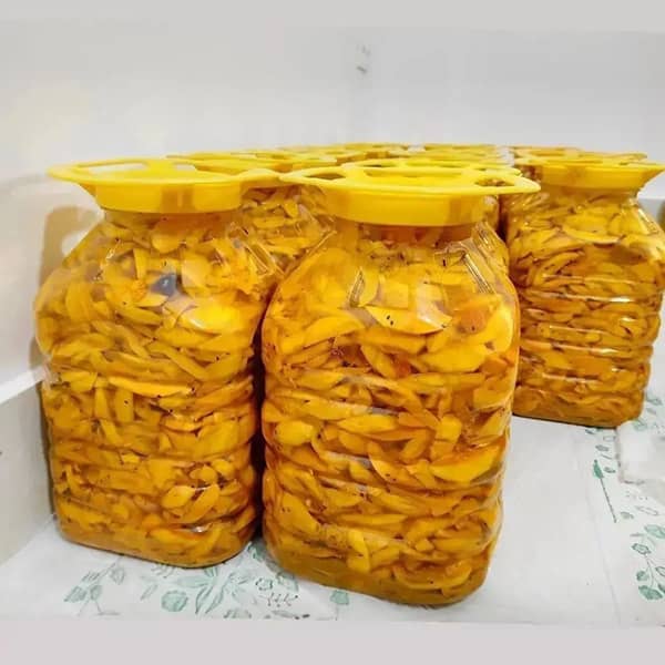 تصویر 3 از ترشی انبه مجلسی + پت ۱۰ کیلویی