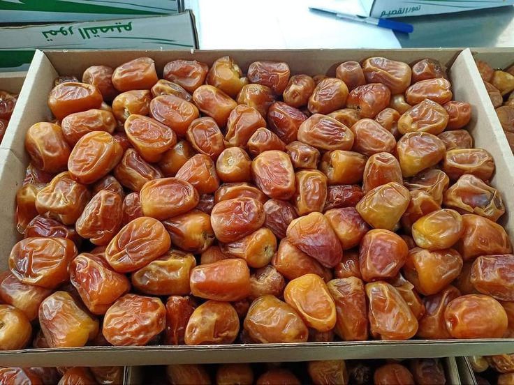 تصویر 1 از قیمت فروش انواع خرما زاهدی بهترین کیفیت صادراتی