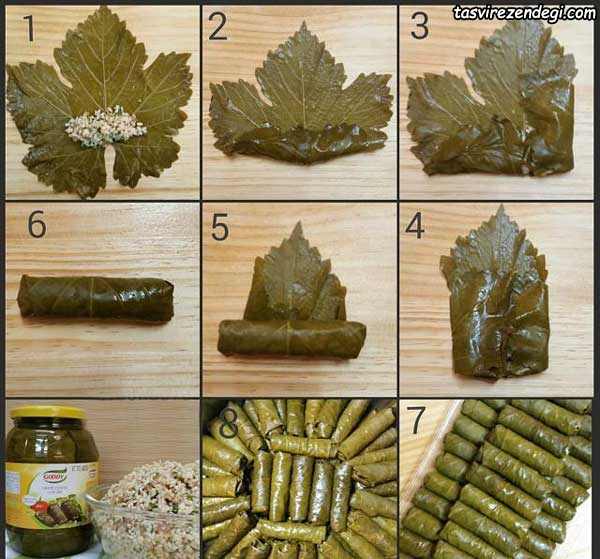 تصویر 3 از شوری برگ مو + پت ۶ کیلویی