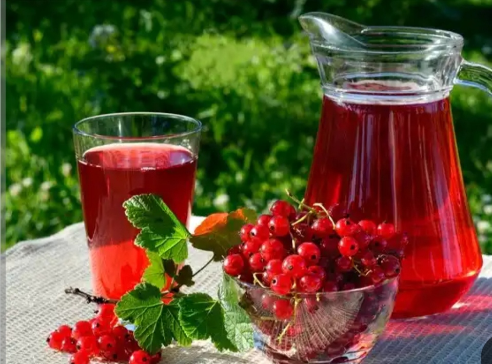 تصویر 3 از قیمت خرید عمده زرشک قرمز