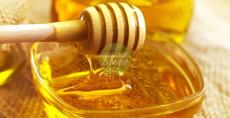 تصویر 2 از فروش اینترنتی عسل یونجه + قیمت مناسب