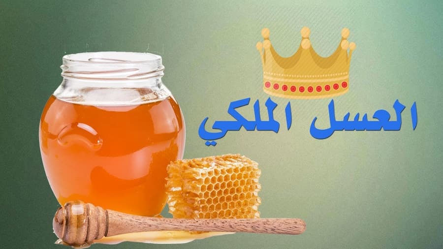 تصویر 5 از قیمت امروز عسل گشنیز + خرید تضمینی