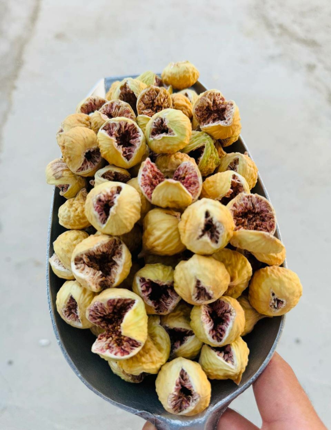 خرید عمده انجیر غنچه و صد یک