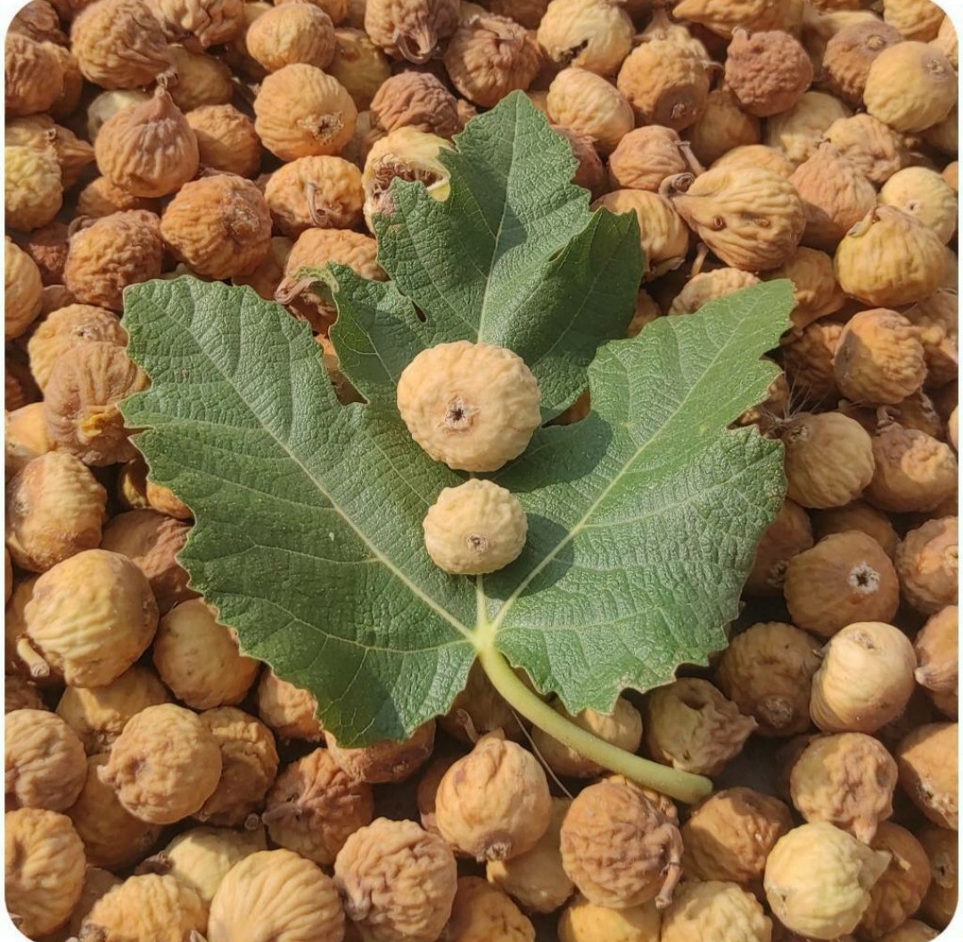 خرید انجیر مخلوط درجه سه از باغدار