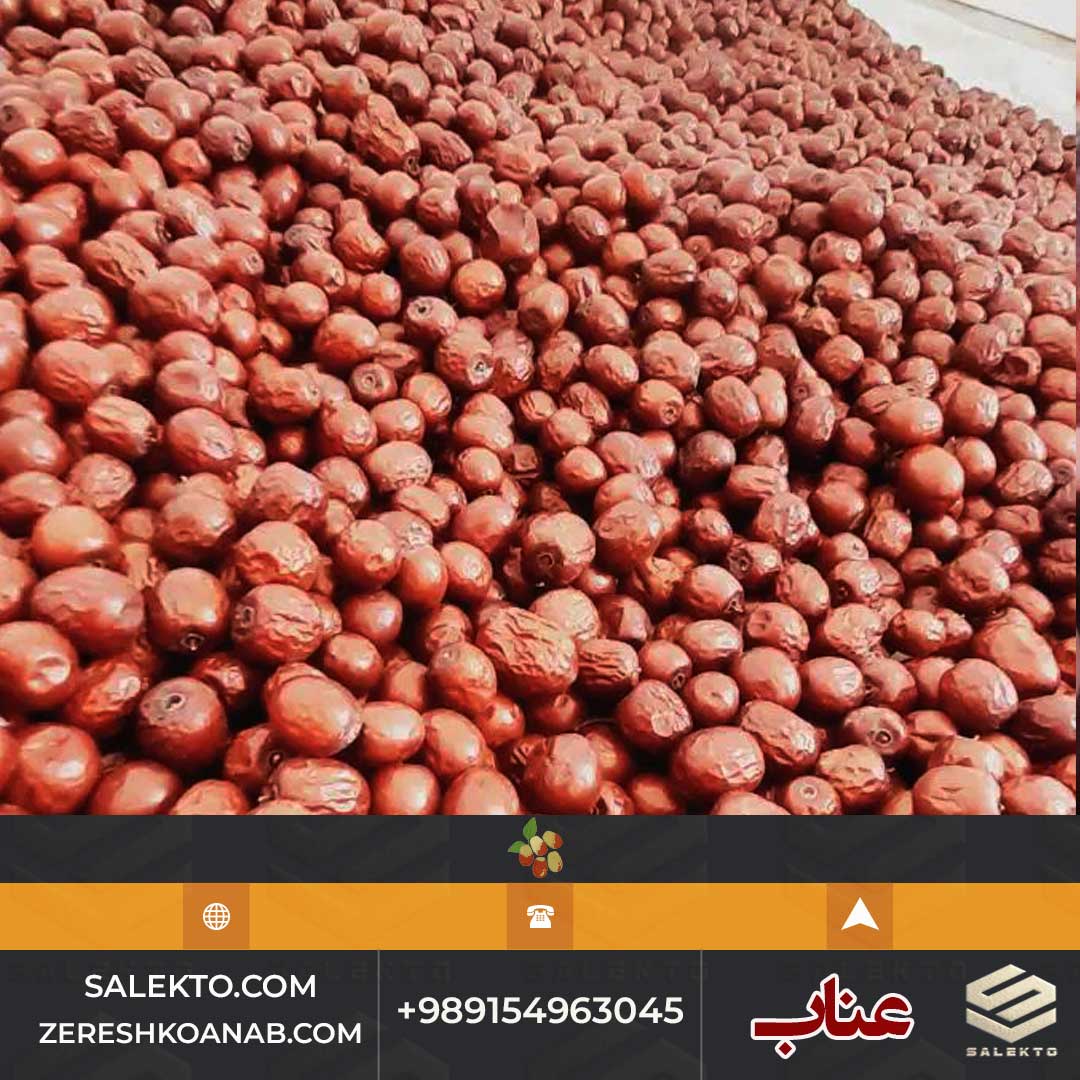 تصویر 4 از عناب خشک مرغوب قائنات با طعم طبیعی و هسته کم + خرید مستقیم و شرایط استثنایی