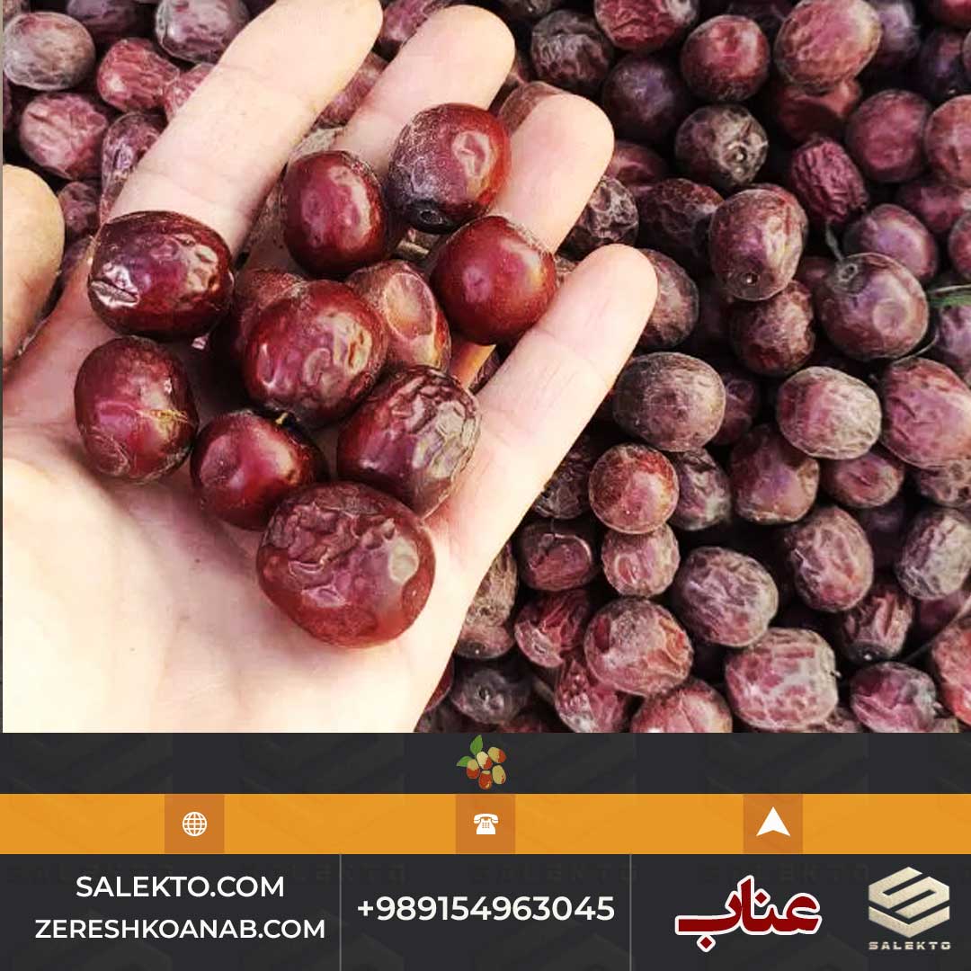 تصویر 3 از عناب خشک لوکس بیرجند با پوست براق و گوشت نرم + خرید به‌ صرفه و قیمت شگفت‌ انگیز