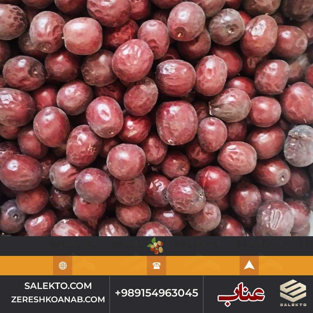 تصویر 5 از عناب خشک پرخاصیت قائنات با طعم اصیل و خواص درمانی + فروش فوق‌ العاده و خرید ارزان