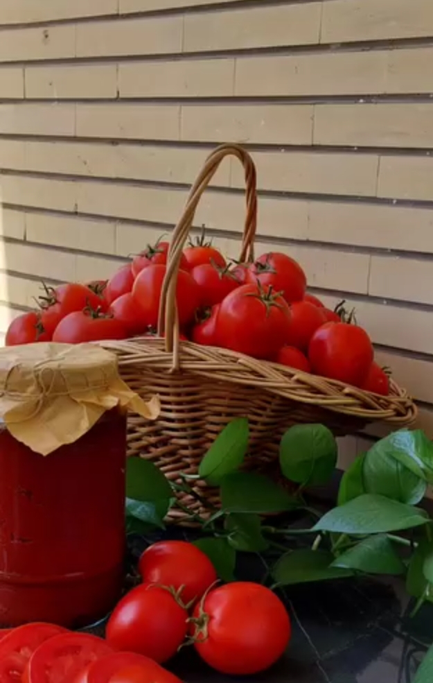 تصویر 2 از رب گوجه‌ فرنگی تازه بدر + بالا ترین کیفیت