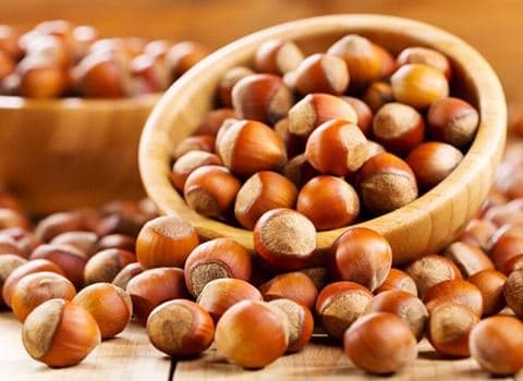 تصویر 1 از فندق گیلان + خرید