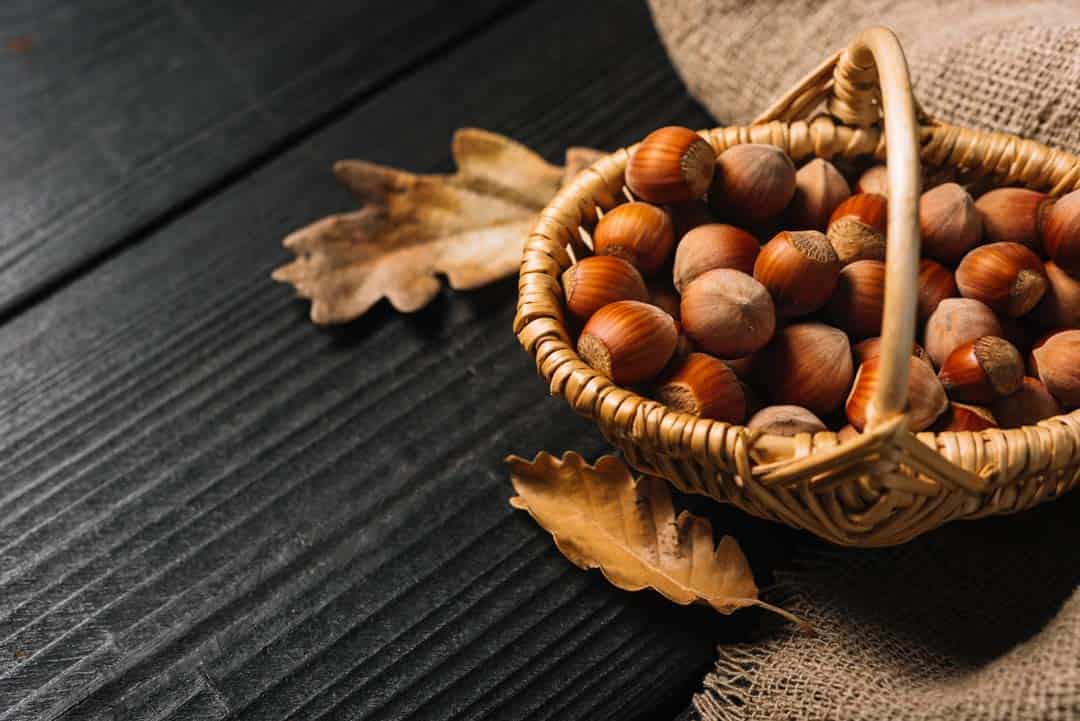 تصویر 2 از فندق گیلان + خرید