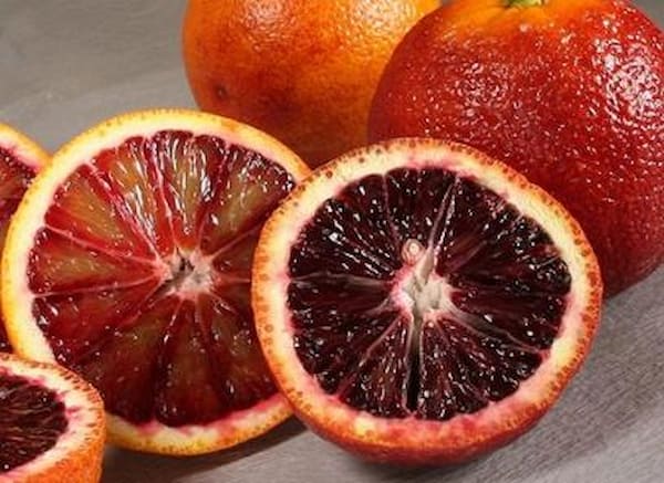 تصویر 1 از خرید و قیمت پرتقال پیوندی + فروش عمده