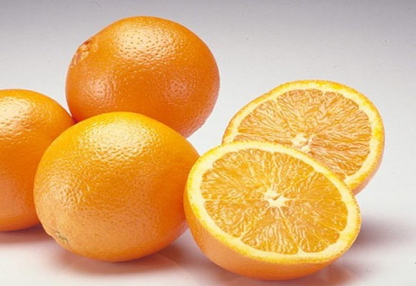 تصویر 1 از قیمت خرید پرتقال دزفول + فروش ویژه