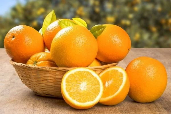 تصویر 3 از قیمت پرتقال نافی جنوب + پخش تولیدی عمده کارخانه