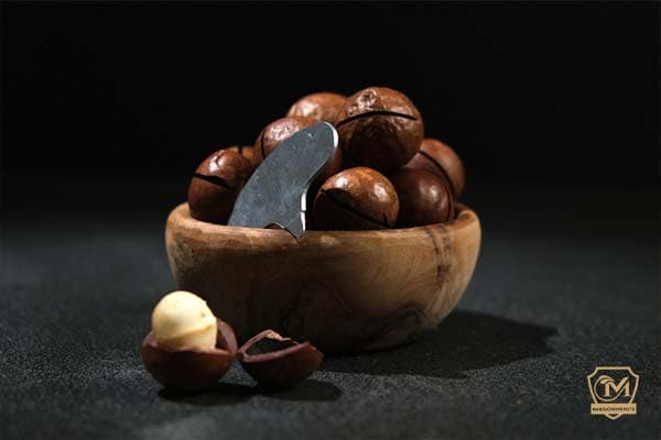 تصویر 5 از قیمت فندق ماکادمیا + خرید باور نکردنی