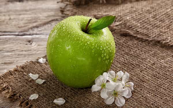 تصویر 1 از فروش پودر سوپر جاذب ارگانیک