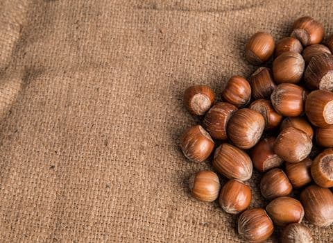 تصویر 5 از خرید و قیمت فندق افغانستان + فروش عمده