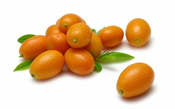 تصویر 1 از خرید پرتقال جنگلی شمال + قیمت فروش استثنایی