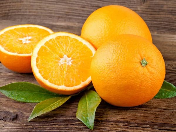 تصویر 5 از قیمت پرتقال نافی جهرم با کیفیت ارزان + خرید عمده
