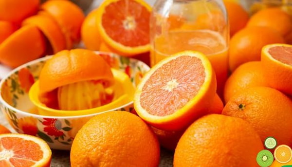 تصویر 3 از قیمت پرتقال نافی جهرم با کیفیت ارزان + خرید عمده