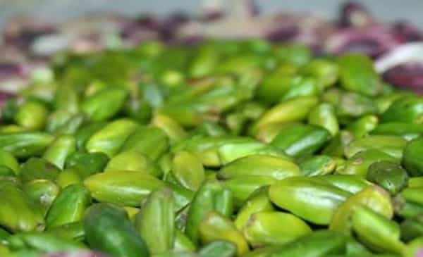 خرید جدیدترین انواع خلال پسته کالک