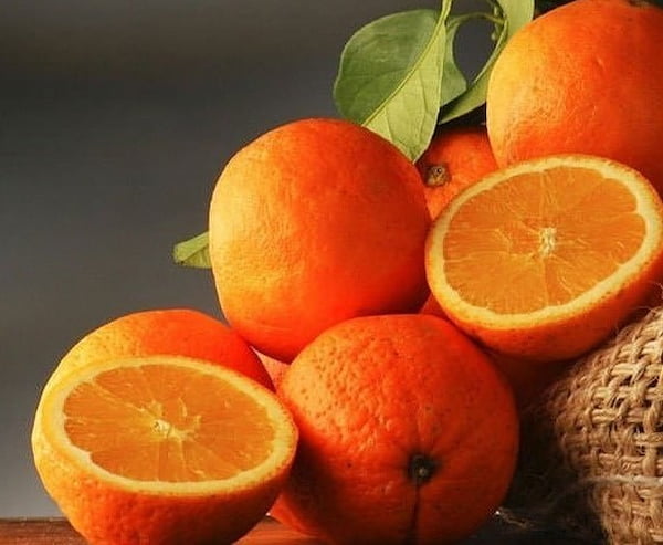 تصویر 1 از قیمت روز پرتقال محلی مازندران
