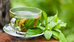 خرید و فروش عمده دمنوش نعناع تازه و معطر